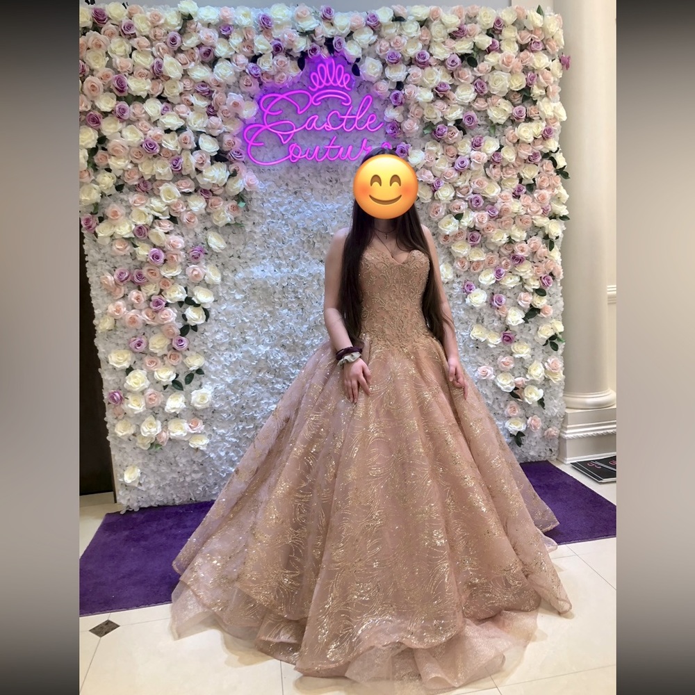 Quinceanera Dress by Princesa by Ariana Vara. Size 12/14